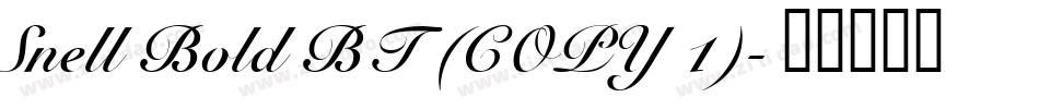 Snell Bold BT (COPY 1)字体转换